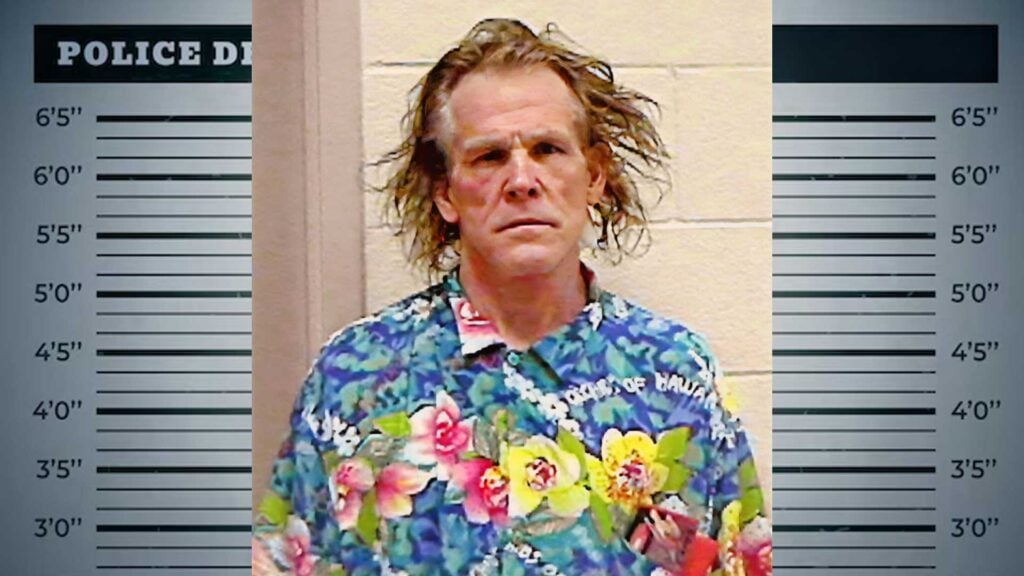 Nick Nolte mugshot