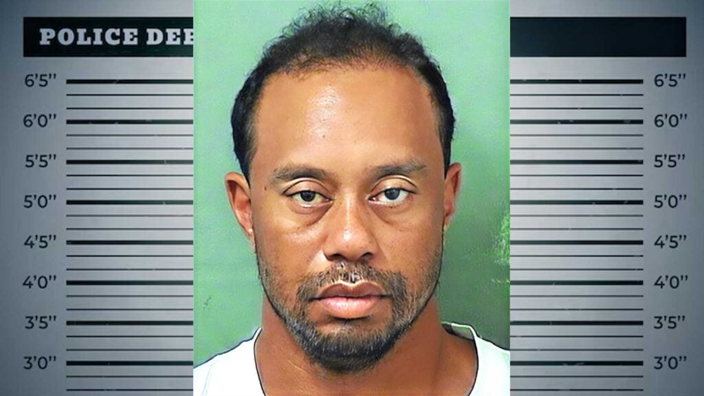 Tiger Woods Mugshot