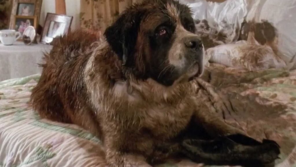 Beethoven dog movie