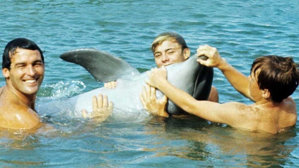 Flipper