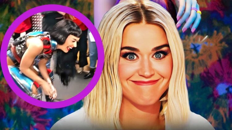 Katy Perry Throws Fan’s Birthday Cake on the Floor