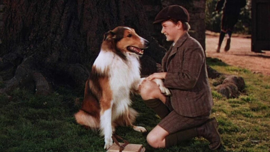 Lassie (Lassie Come Home)