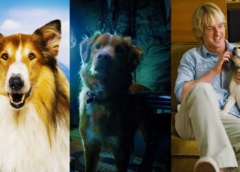 Most-Famous-Animals-In-Movies