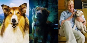 Most-Famous-Animals-In-Movies