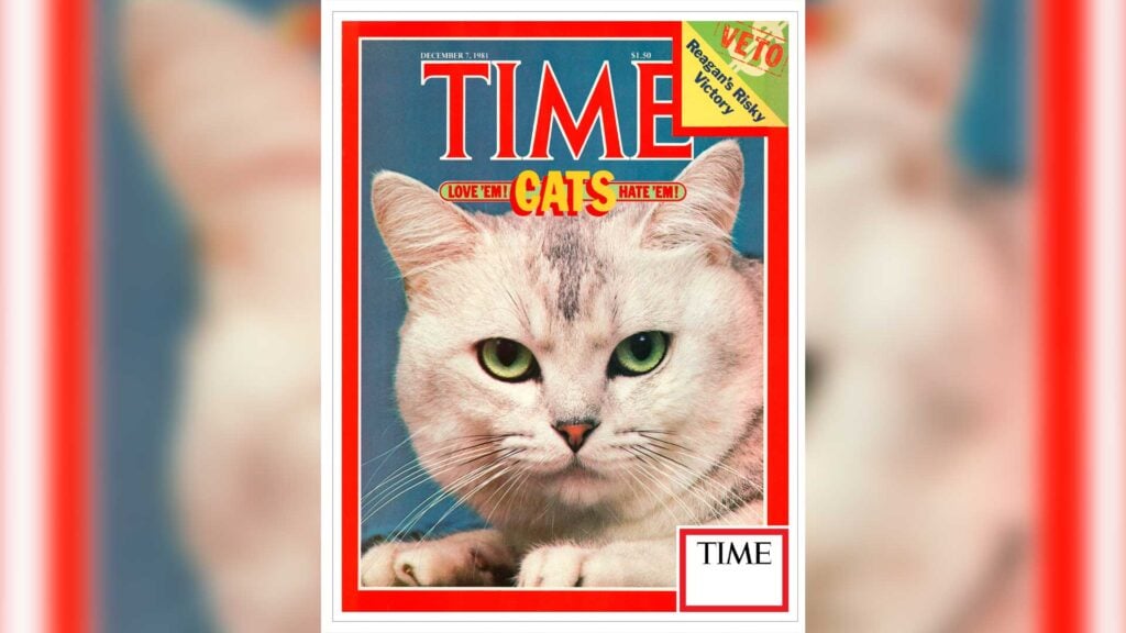 Time Magazine Cover Cats December 7 1981