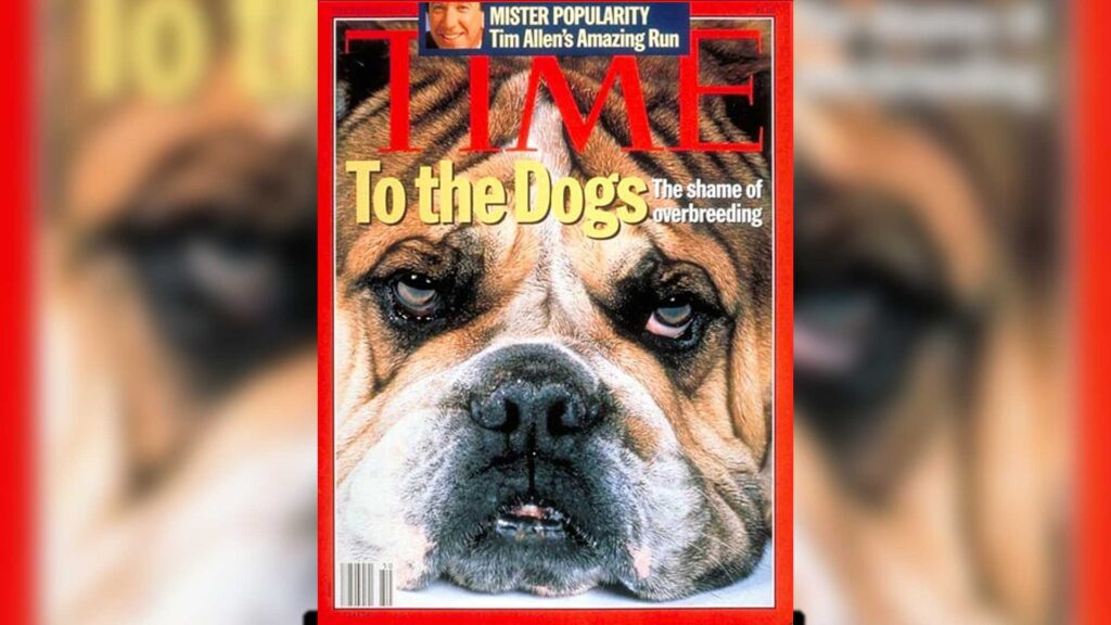 Time Magazine Cover To the Dogs December 12 1994