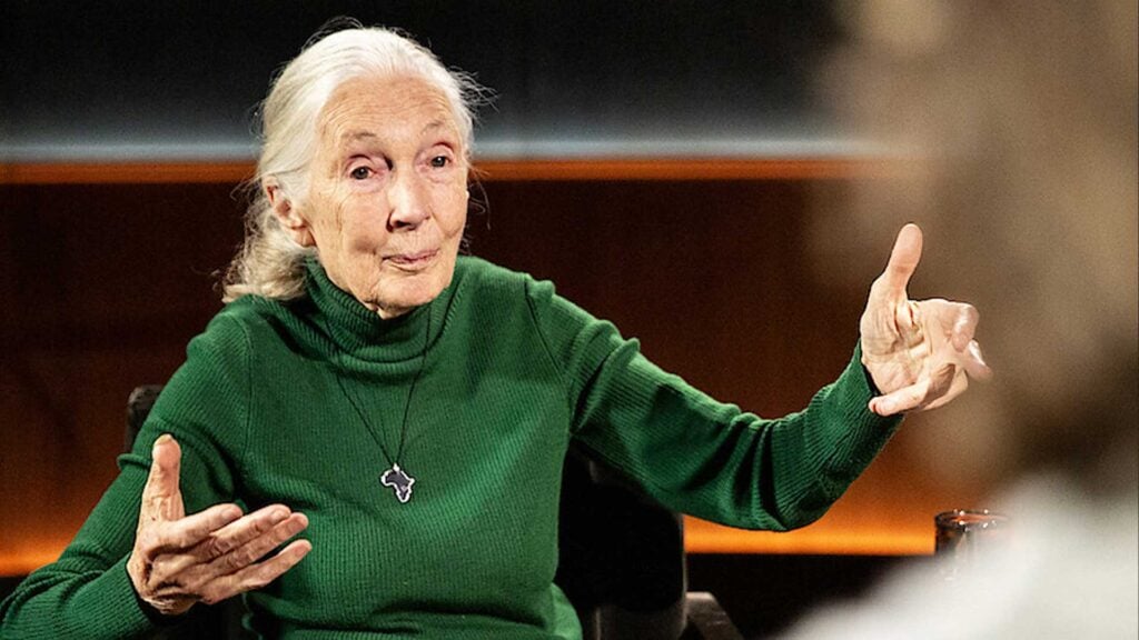 jane goodall documentary