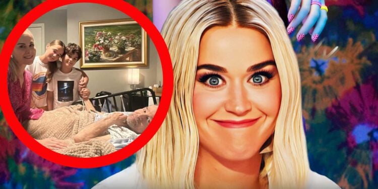 Katy Perry Seeks Millions In Damages From Terminally Ill Veteran