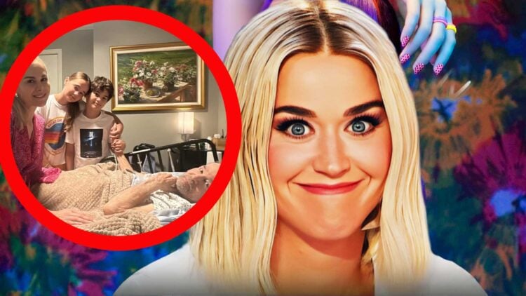 Katy Perry Seeks Millions In Damages From Terminally Ill Veteran