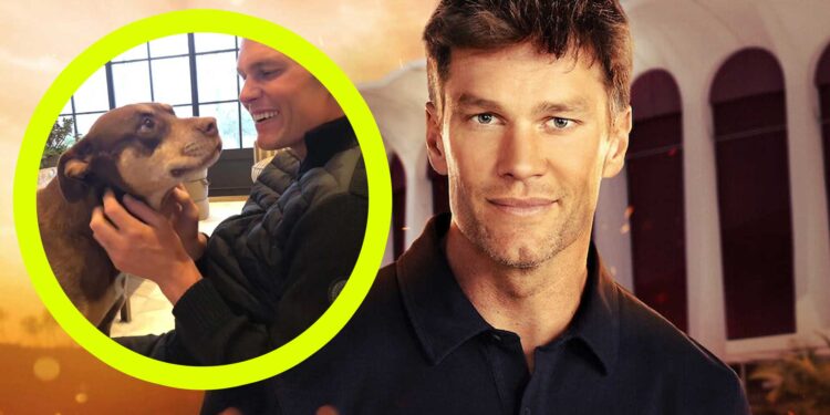 NFL Star Tom Brady Cloned His Dog Lua