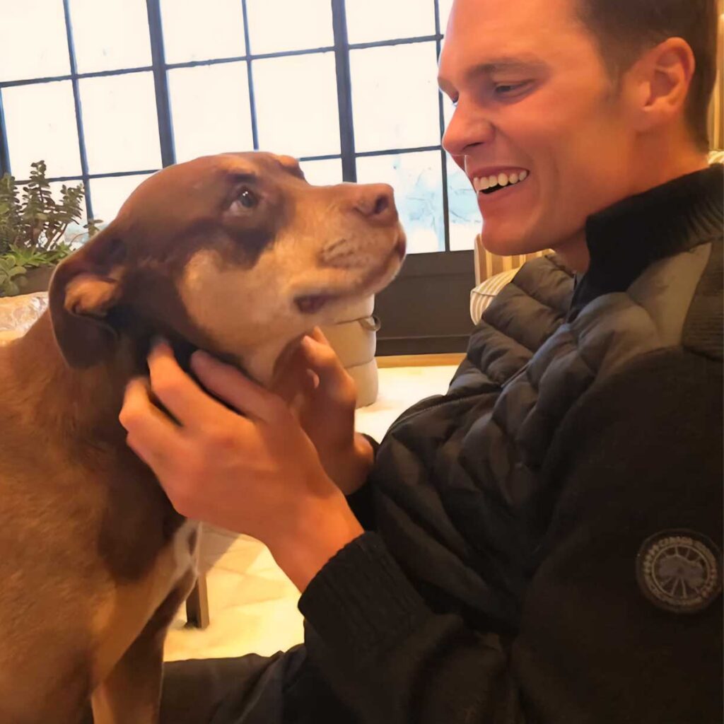 NFL Star Tom Brady Cloned His Dog Lua