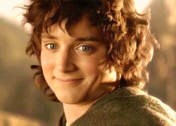 lord of the rings frodo smile