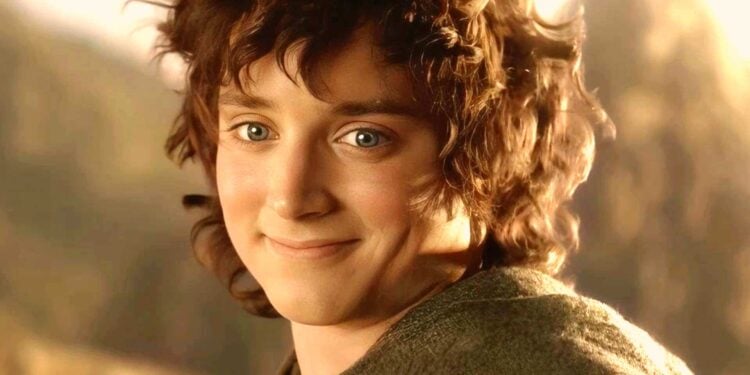 lord of the rings frodo smile