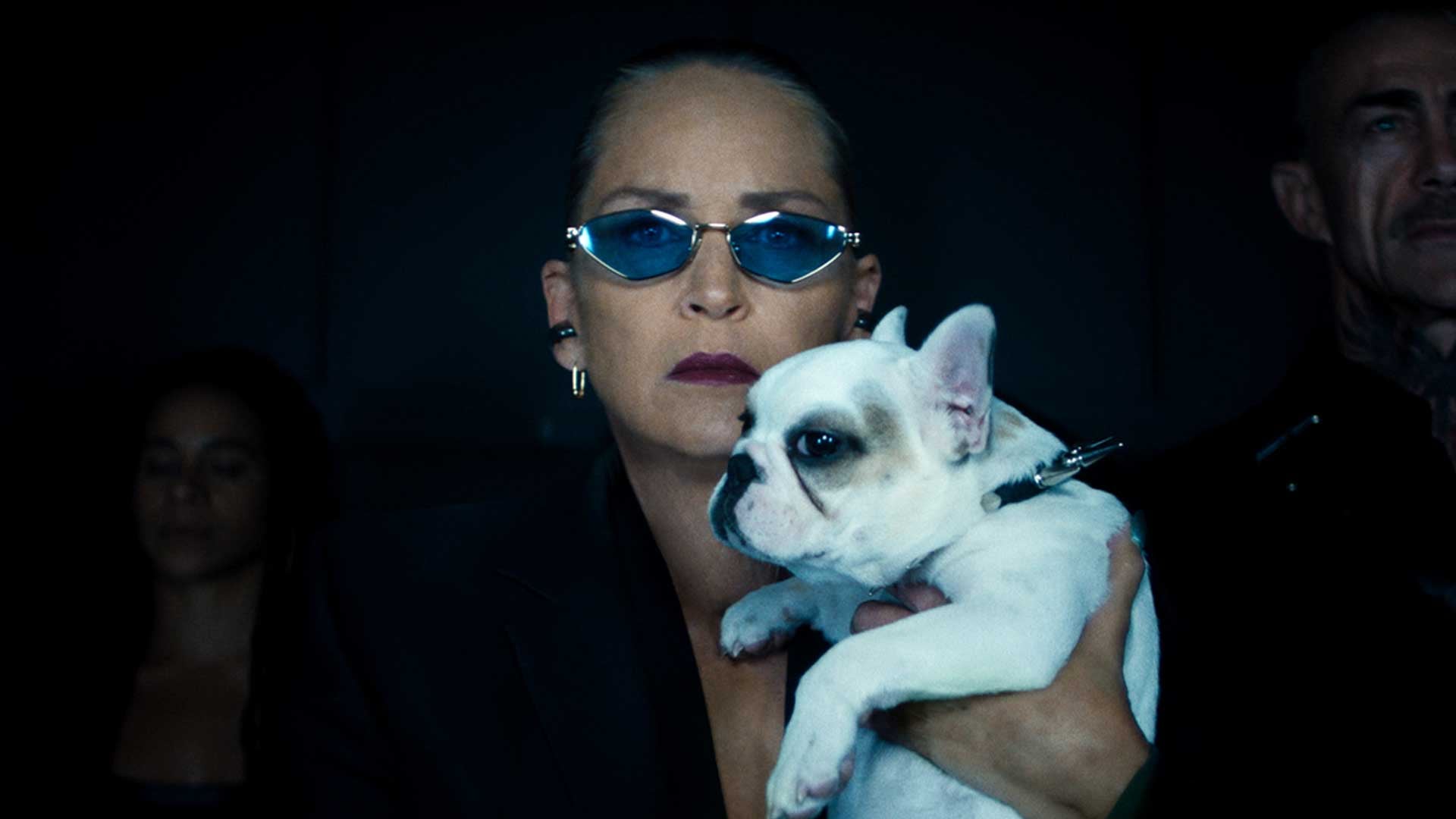 sharon stone nobody 2